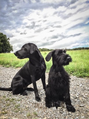 Wilma & Freundin Maya